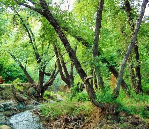 Hellas Ξενοδοχείο